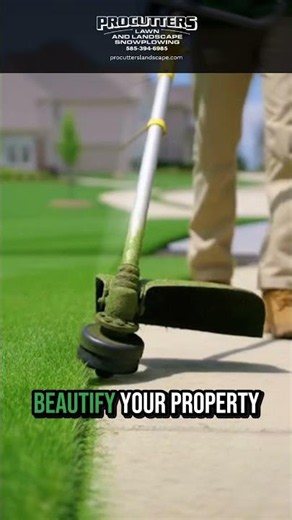 🌼 Beautiful Landscapes Start With Expert Care