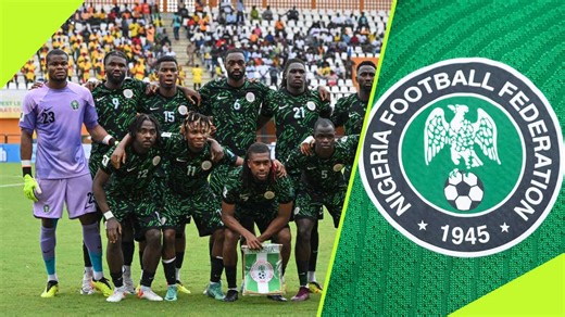 NFF reportedly settles for Swedish tactician as next Super Eagles coach