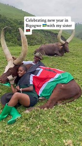 Our beautiful sisters from kenya met the majestic queens 🐄🥰🥰 #Kenya #cows #africa #newyear #Bigogwe | Visit Bigogwe