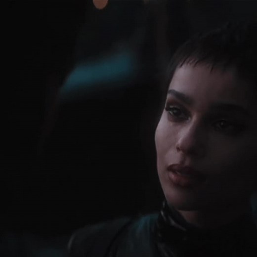 The Batman and Catwoman Animated Edits