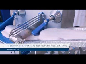 PaceInfeeder MS 2725 – Accurate infeed for filleting