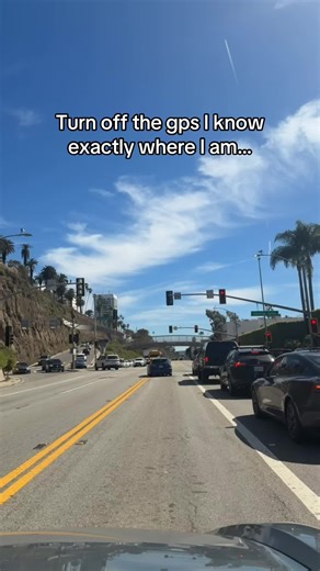 #california #gta #viral