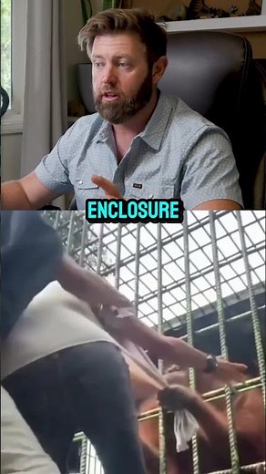 Orangutan Attacks Man At Zoo... Forrest Galante Reacts