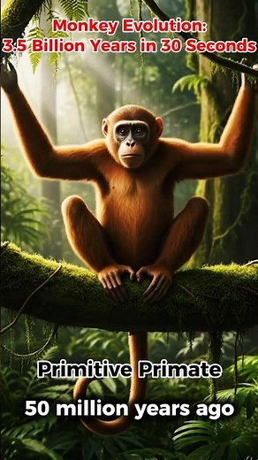 Monkey Evolution in 2 Million Years 🐒🧬 | From Ancient Primates to Modern Monkeys #Shorts
