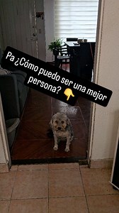 11K views · 582 reactions | Pa ¿Cómo puedo ser una mejor persona? 路‍♂️紐‍♂️ No olvides descargar la app de mi biografía... #vibrabonito #psicología #psicologo #dependenciaemocional #pareja #compassion | Omar Fernando Durán Sánchez | Facebook