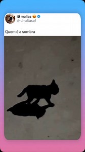 5.5M views · 1.4K reactions | Memes Twitter on Reels | Facebook