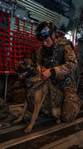Female Soldier Leads a K9 Drop From a C-130J Super Hercules #shorts