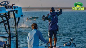 133K views · 259 reactions | EPIC FISHING. Captains Tom and Rich get started early at Sandy Key in Florida Bay, where a variety of monster fish lurk. | Waypoint TV | Facebook