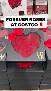 🌹 Forever Roses are such a beautiful find at Costco! These preserved roses are a fantastic Valentine’s Day gift idea! They’re designed to last over a year with no maintenance, come in a heart-shaped display box, and look incredibly polished right out of the packaging ❤️ ($89.99) #Costco #CostcoFinds #foreverroses | Costco Buys