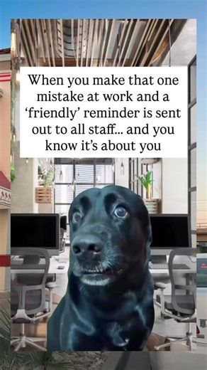 #funnyreels #funnyvideos #relatablememes | Nikki Lifestyle