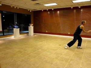 Yang Style Tai Chi Chuan Long Form 108 by David Arnold