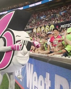 BBL|11 is finally here! Hear the superstars talk about the teams they're keen to play against 📺 Which match-ups are looking the best for your team? #BBL11 | BBL