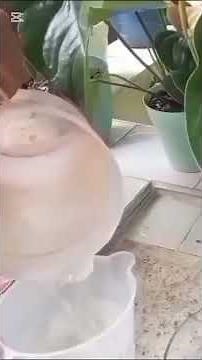 HOW DO I WATER AND FEED MY ANTHURIUMS? Here's how 🪴🌺🌸