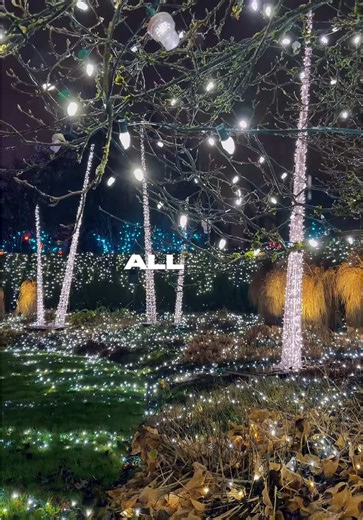 Thanks, 2025. We’re just getting started 🙆🏻🖤 #2025 #2025recap #explore #adventure #welcome2026