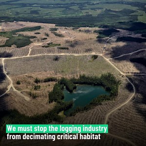 203 reactions · 47 shares | Are we close to saying goodbye to the...