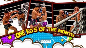 KO CHAOS! | Best ONE knockouts of the month!