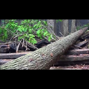 35K views · 295 reactions | Build a wild cabin interior in the forest | Mansi's Handmade | Facebook