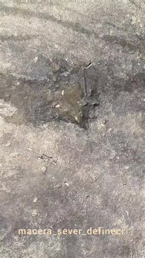 1mt kalınlıkta kapak zeminde sizce kırabiliriz hilti hariç... #define #hazine #macera #arkeolog #defineişaretleri #defineciler #lahit #treasure #definebulma #metaldetecting #kayakasa