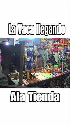 #shrek #paratiiiiiiiiiiiiiiiiiiiiiiiiiiiiiii #meme #trends #mexico | shrek edit