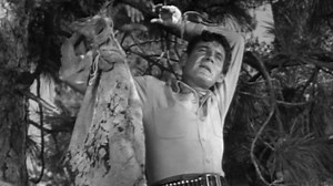 Watch Bat Masterson Season 1 Episode 6 - Bear Bait