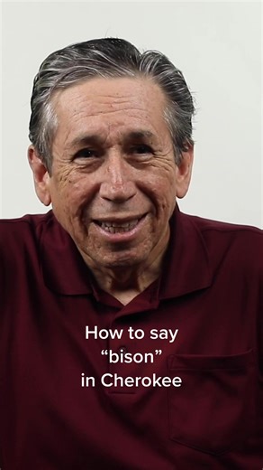 TikTok - Make Your Day