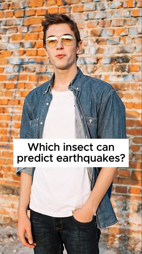 Which insect can predict earthquakes? | Learn Science Naturally #learn_science_naturally #which_insect_can_predict_earthquakes Welcome to Learn Science Naturally! 🌍 Discover the amazing world of science, nature, and everyday experiments — explained in a simple and beautiful way. Our goal is to make science easy to understand, enjoyable to learn, and inspiring to explore. At Learn Science Naturally, we create videos about: 🔬 Physics, Chemistry, and Biology — explained through real-life examples