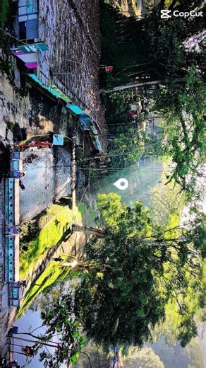 Crystal Clear Spring in Java 🇮🇩 | Senjoyo Water Paradise #shorts #nature