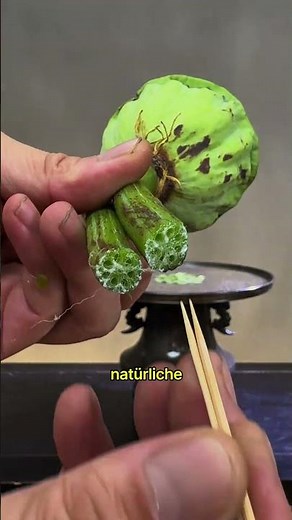 This Japanese flower technique is ingenious.