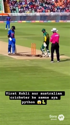 Virat Kohli aur south africa player ke samne aya python snake! Everyone shocked 😱🐍 #cricket #shorts