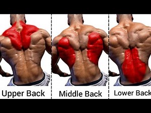 Upper Middle and Lower Back Workout Gym - Bigger Back