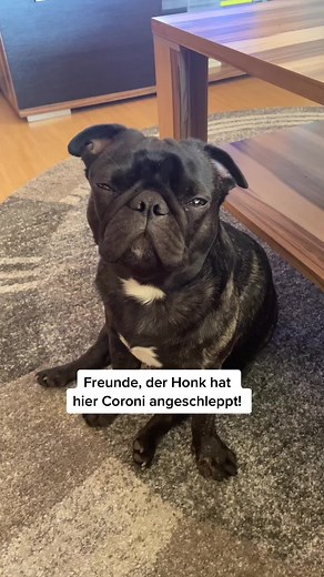 Frops_Bruno on TikTok