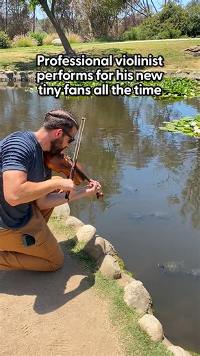306K views · 9.1K reactions | He tried playing music to a turtle in the park, and then 10 more showed up — so now he plays for them all the time  Zac told Dodo Producer, Brielle, about how he quit his corporate job to pursue his passion — and how he found a fanbase in the most unexpected species! Keep up with Zac Clejan on Instagram: https://thedo.do/thetrapviolinist | The Dodo | Facebook