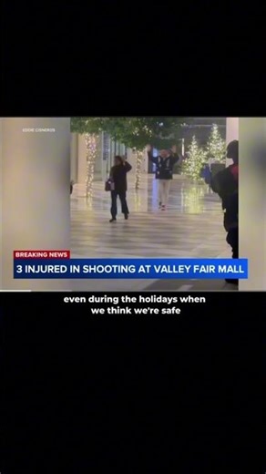 Black Friday Shooting at San Jose Mall | Crime Rising in California