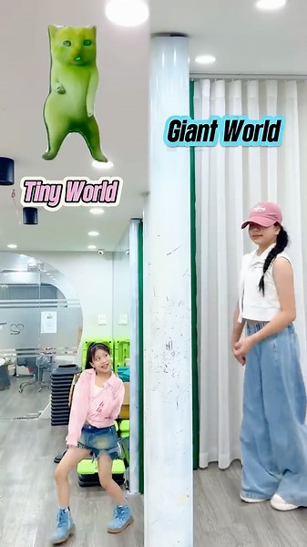 Where does Green Cat belong ? SUBSCRIBE AND GUESS #tiktok#trending#viralvideo#foryou#dancechallenge