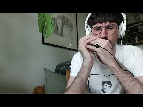 Suzuki Fabulous F48S chromatic harmonica