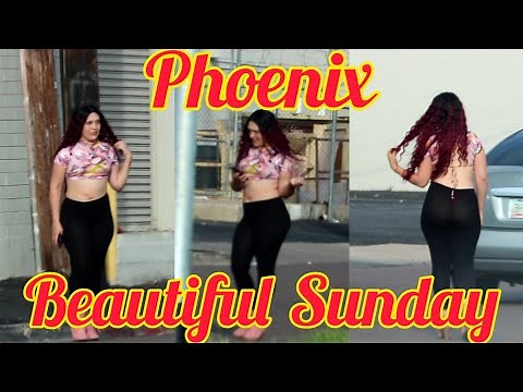 Lot lizards 🦎 Sunday funday