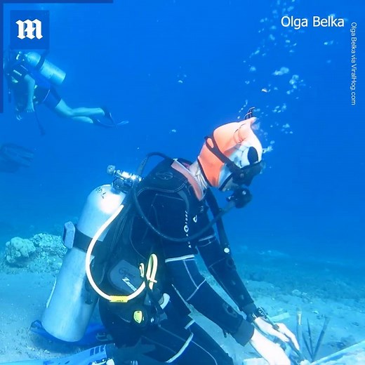 23K views · 178 reactions | This is INCREDIBLE via ViralHog | Daily Mail Video | Facebook