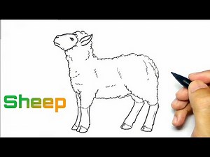 How to draw a sheep step by step easy