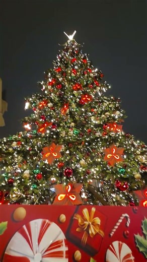 Otwarcie Jarmarku Świątecznego w Łodzi 2025 - part 1