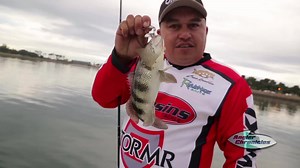 3.8K views · 54 reactions | The Angler Chronicles Crew fishing for Spotted Sand Bass in Mission Bay, San Diego, California … Sergio, Bobby Martinez, Viet Nguyen & Jimmy Getty of Owner Hooks, Garrett Ching, and Joseph Shagner have a productive time on the water! | Angler Chronicles | Facebook