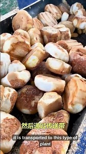 “How food waste is REALLY processed in the USA 🍽♻️ #FoodWaste #Recycling #EcoFacts”