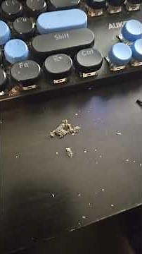 how to clean a logitech m204 clean mousewheel, the easy way