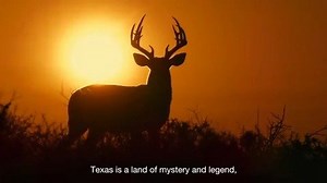 We poured four years of love, sweat, and tears into this movie and I am SO excited to release it in Texas theaters this upcoming weekend. Huge thanks to Matthew McConaughey for the buttery smooth narration and to the entire team that brought us to this moment. Texas is looking good on the big screen! Deep in the Heart opens in 60 Texas theaters - see locations at deepintheheartwildlife.com and tag some friends to go with! #deepintheheartfilm | Ben Masters