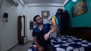 3.4K views · 54 reactions | Blue & Golden Beauty: The Story of...