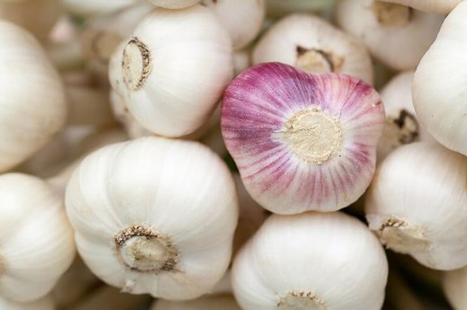 How To Grow Garlic | Guide To Planting, Harvesting And Growing Garlic