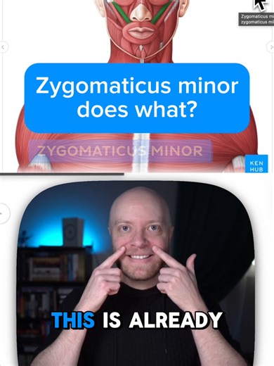 This muscle tries to smile… but it’s giving awkward 😬 Zygomaticus minor lifts the lip, but the real smile glow-up happens when its bestie shows up 👉 zygomaticus major. Anatomy never lies. #anatomy #kenhub #anatomylesson #learnontiktok
