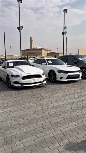 Join the Exciting Sunday Car Auction on January 25th