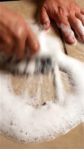 Deep Carpet Cleaning ASMR: Foaming Solution & Suction Machine in Action