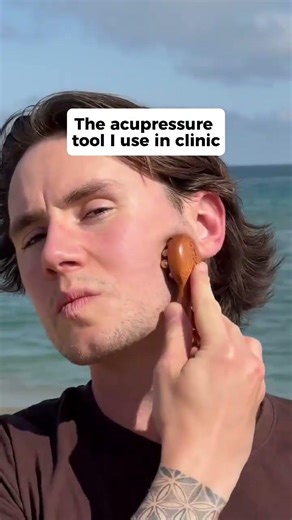 Did you know the masseter is the strongest muscle in the human body by force? It can clench down