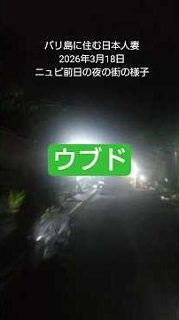 「バリ島」ニュピ前日の夜のウブドの様子